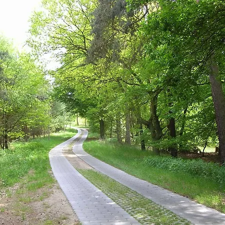 Ferienunterkuenfte Liane Zemlin *